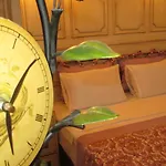 Maison d'hôtes Losta Sahil Evi 2