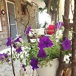 Losta Sahil Evi 2
