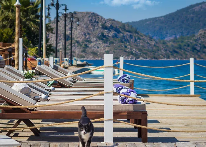 Pensionat Losta Sahil Evi 2