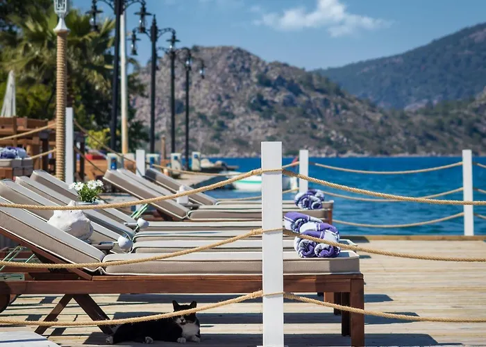 Pensionat Losta Sahil Evi 2 Selimiye (Aegean)